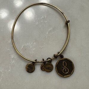 Alex and Ani S Bangle Bracelet